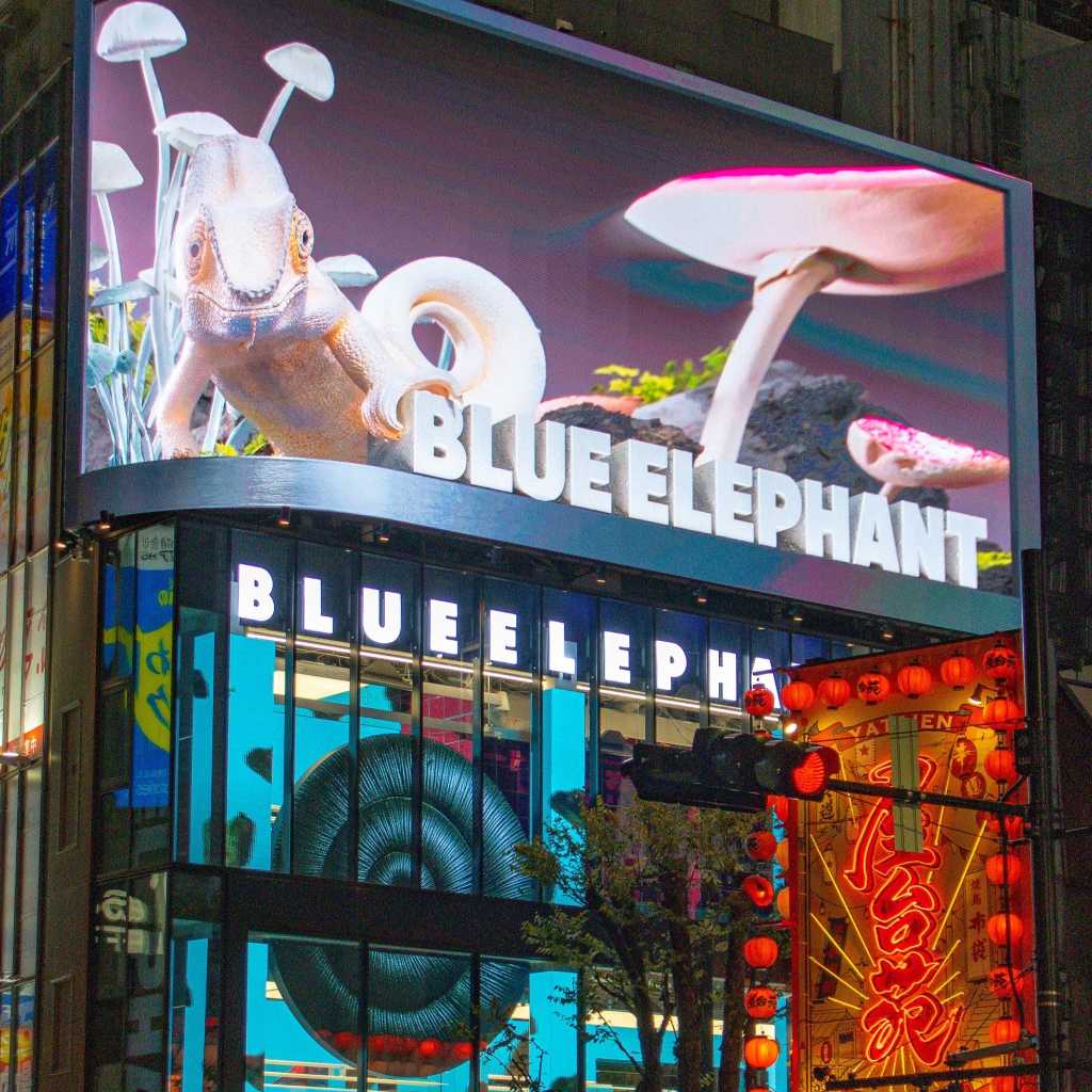韓国発アイウェアブランド「BLUE ELEPHANT」新宿にフラッグシップストアがついにオープン!