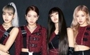 BLACKPINK＆レディー・ガガ、コラボ曲「Sour Candy」がビルボードで33位に…K-POPガールズグループ最高記録