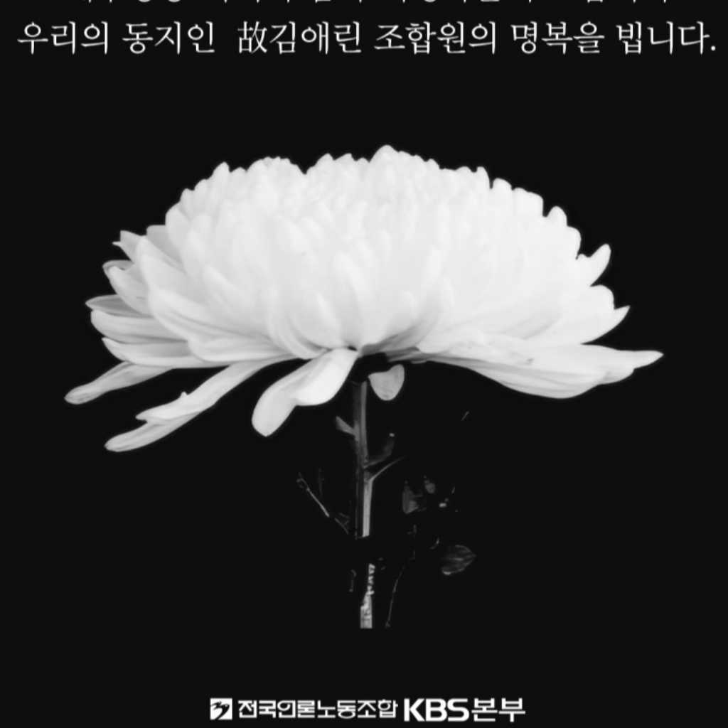 MBCプロデューサーやKBS記者も犠牲に…韓国旅客機事故で死去
