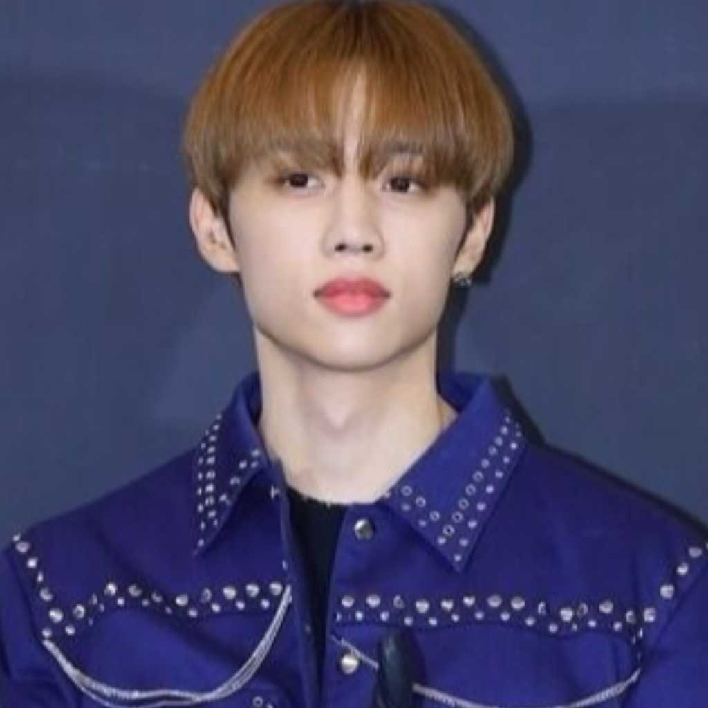 メーカー ドボイズ ソヌ everline theboyz Amazon.co.jp: 猫耳