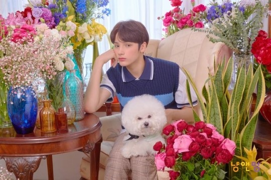 TXT cat&dog トレカ 未公開 ヒュニンカイ-