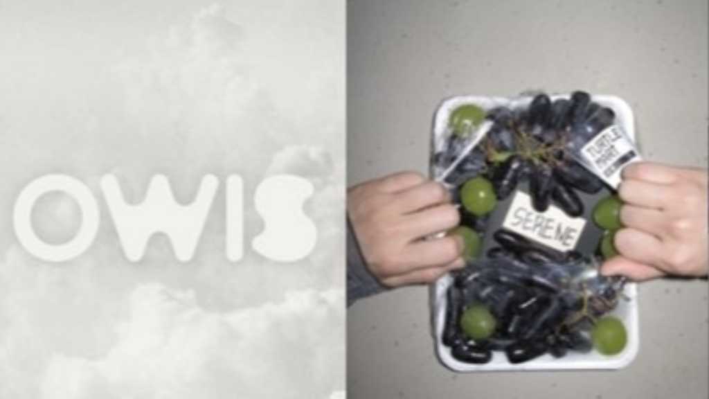 バーチャルグループOWIS、5人組でのデビューを正式発表！