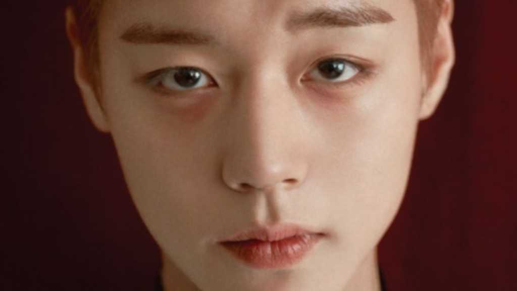 Wanna One出身パク・ジフン、アンコールファンコンサートが決定!9月にソウルで開催