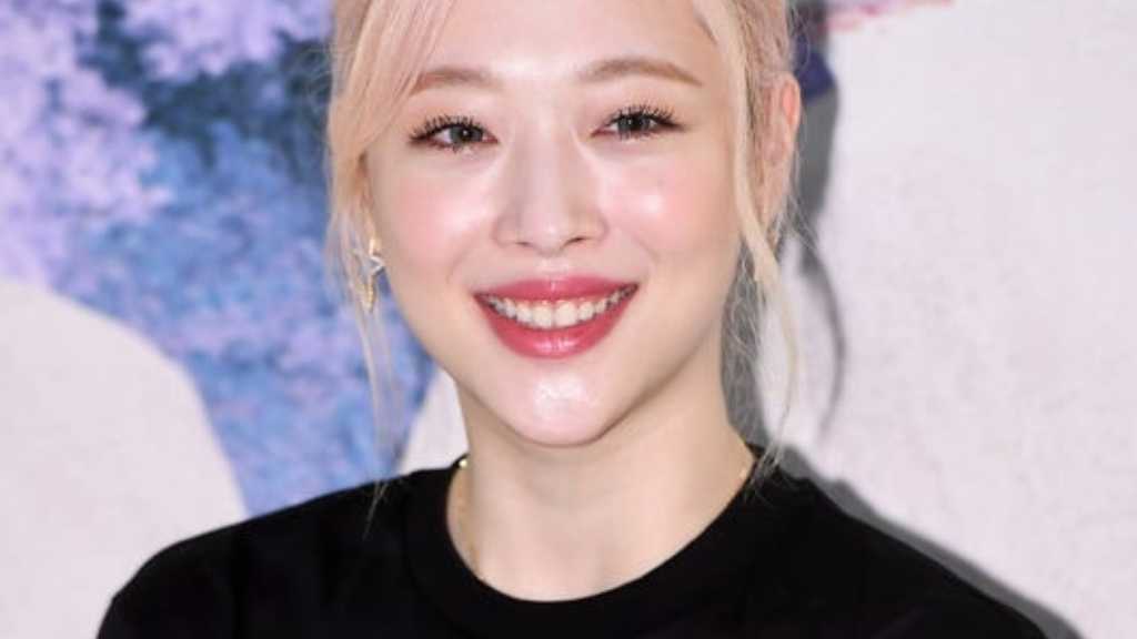KARA出身ハラさんの写真も？実兄がソルリさんの過去動画を公開…明るく笑う姿に注目