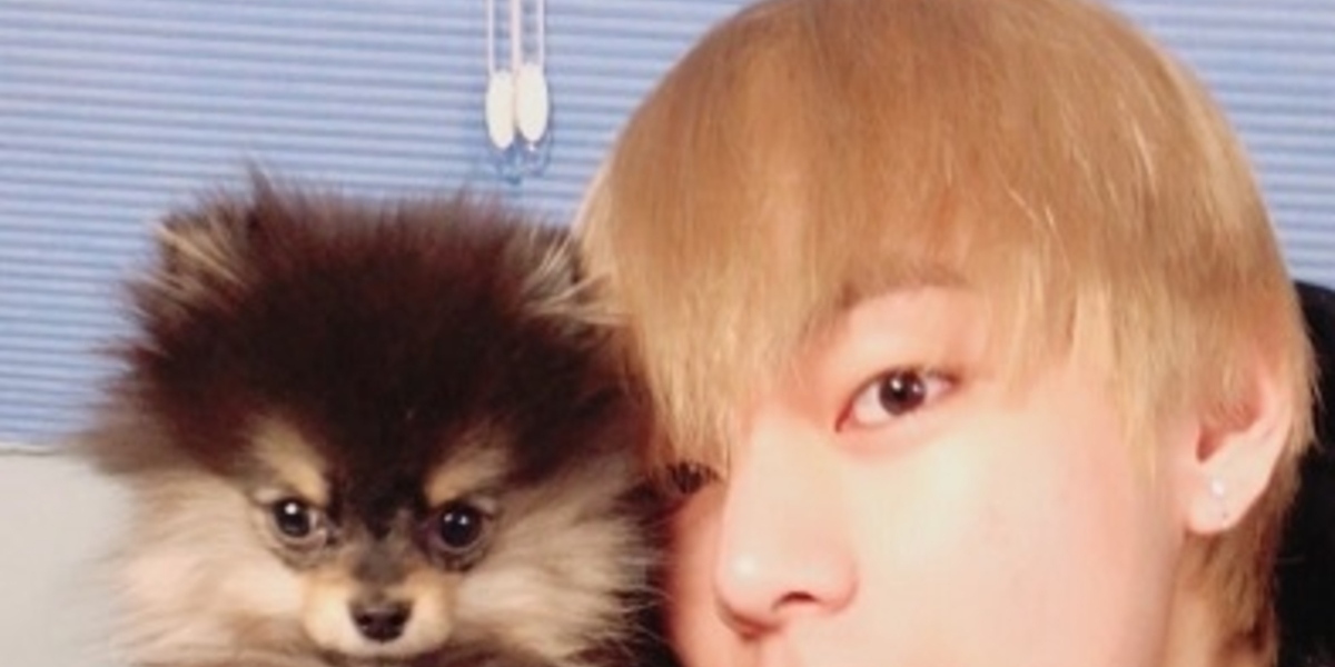 Bts 防弾少年団 のvの愛犬ヨンタンが本日誕生日 ファンが祝福メッセージ 心温まる善行 日本でもトレンド入り Kstyle