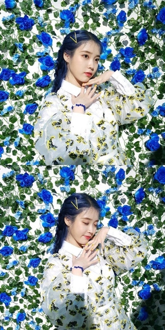 Iu 新曲 Blueming Mv撮影時の様子をファンに公開 青い花の前で際立つ美貌 Kstyle