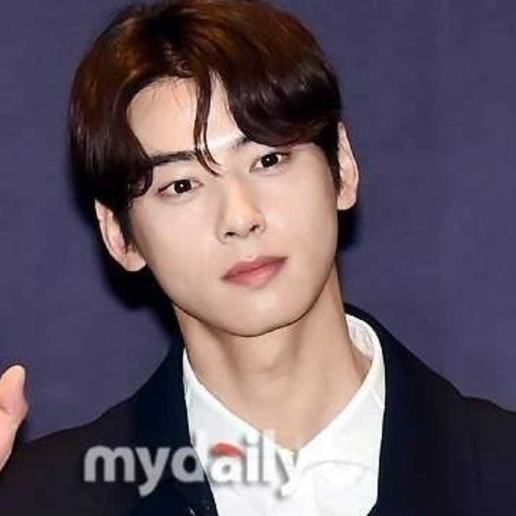 ASTRO チャウヌ、税務関連の騒動うけ…広告やコンテンツが次々と削除