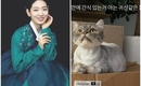 パク・シネ、SNSを更新…愛猫との微笑ましい日常ショットを公開