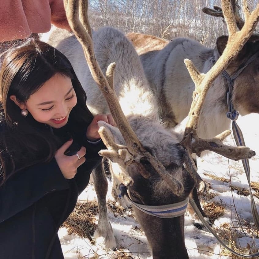 Twice ナヨン 美しい雪景色を背景に トナカイとの記念ショットも Kstyle