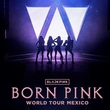 BLACKPINK、メキシコ公演が全席完売を記録…追加公演も決定