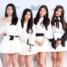 【PHOTO】DIA「2018 DREAM CONCERT」レッドカーペットに登場