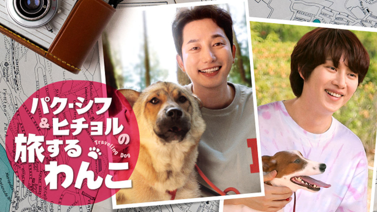 愛犬と世界中を旅行 パク シフ ヒチョルの旅するわんこ 5月1日よりu Nextで独占配信スタート Kstyle