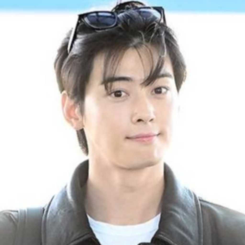 ASTRO チャウヌの母親が設立した法人、サッカー場3つ分の不動産を購入？約3億円規模と報道