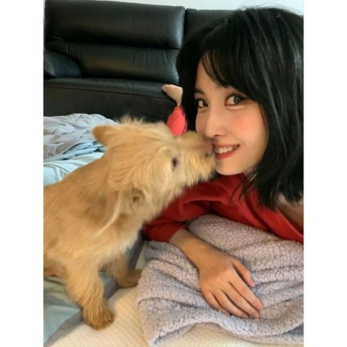 Twice モモ 捨て犬の里親に Snsで新たな家族を紹介 Onceにも自慢する Kstyle