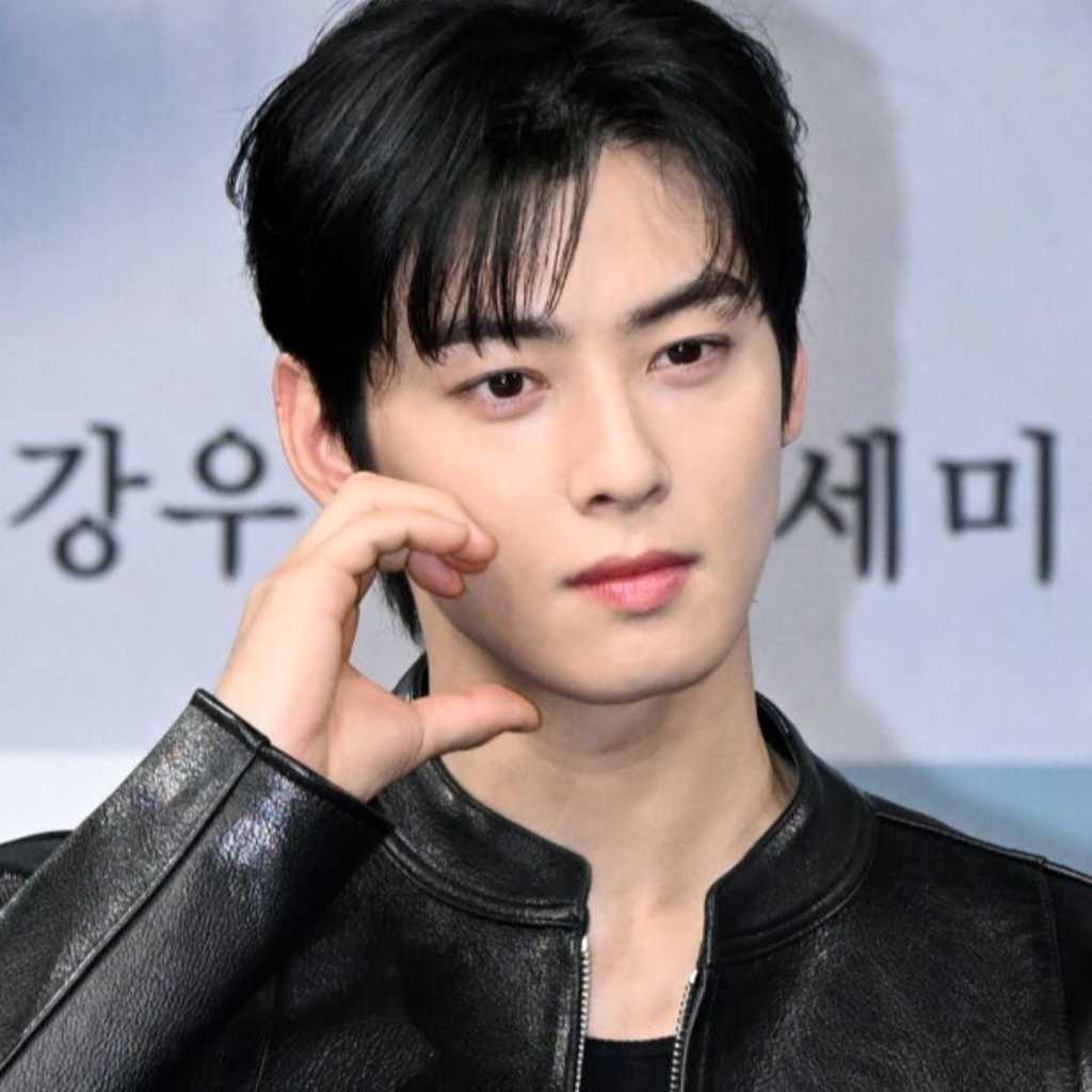 “入隊中”ASTRO チャウヌ、まるでドラマのワンシーン?APEC会場での目撃談が話題に