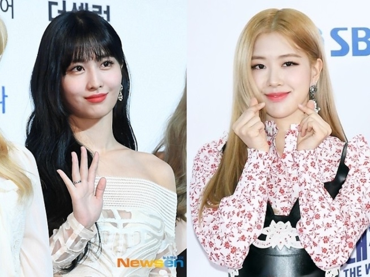 Twice モモからblackpink ロゼまで 捨て犬の里親になったスターが続々 行動に称賛の声 Kstyle