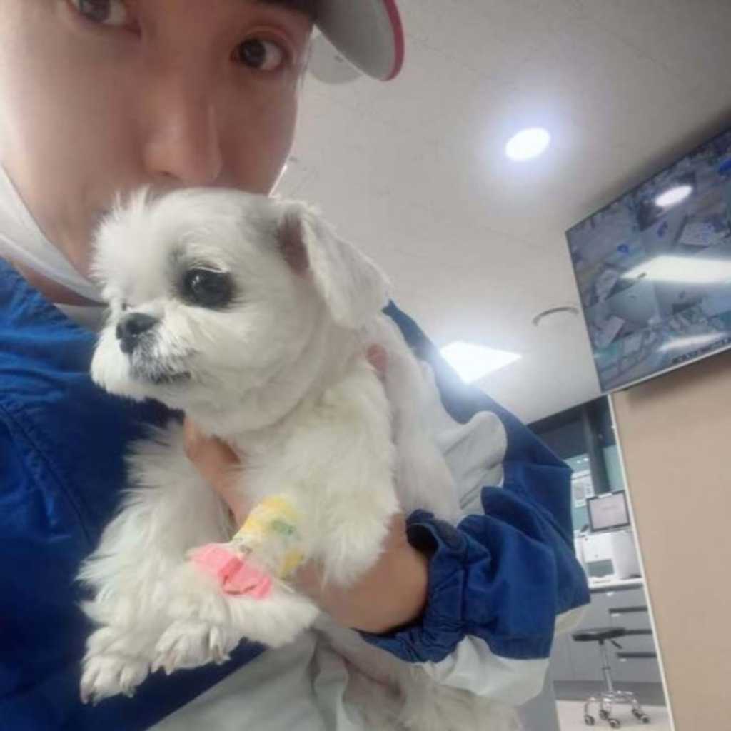 SUPER JUNIOR イトゥク、愛犬の健康問題めぐり助けを求める…動物病院を訪れた様子も公開