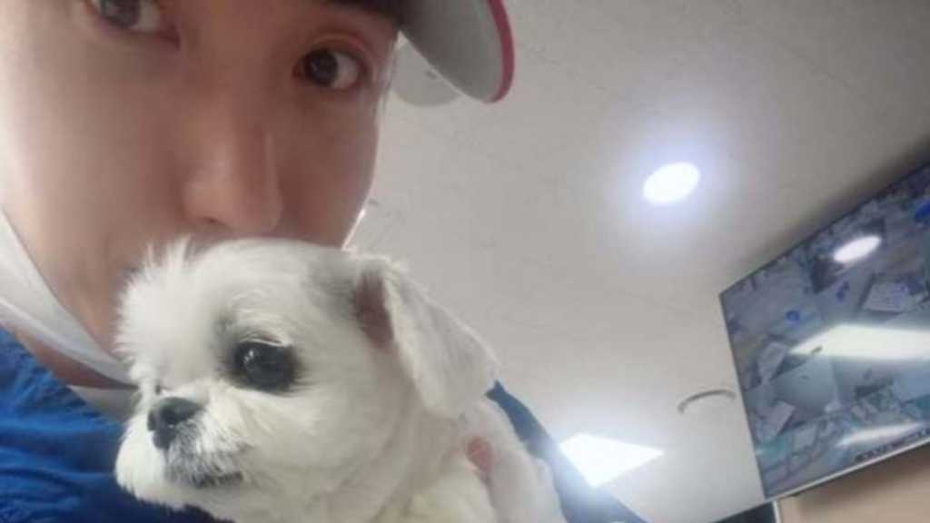 SUPER JUNIOR イトゥク、愛犬の健康問題めぐり助けを求める…動物病院を訪れた様子も公開