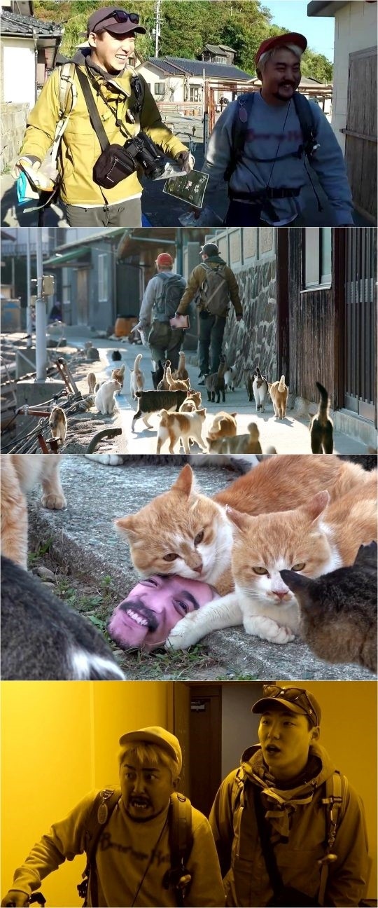 ユ ビョンジェ 日本の 猫島 こと青島へ 愛してやまない猫の群れに大興奮 Kstyle