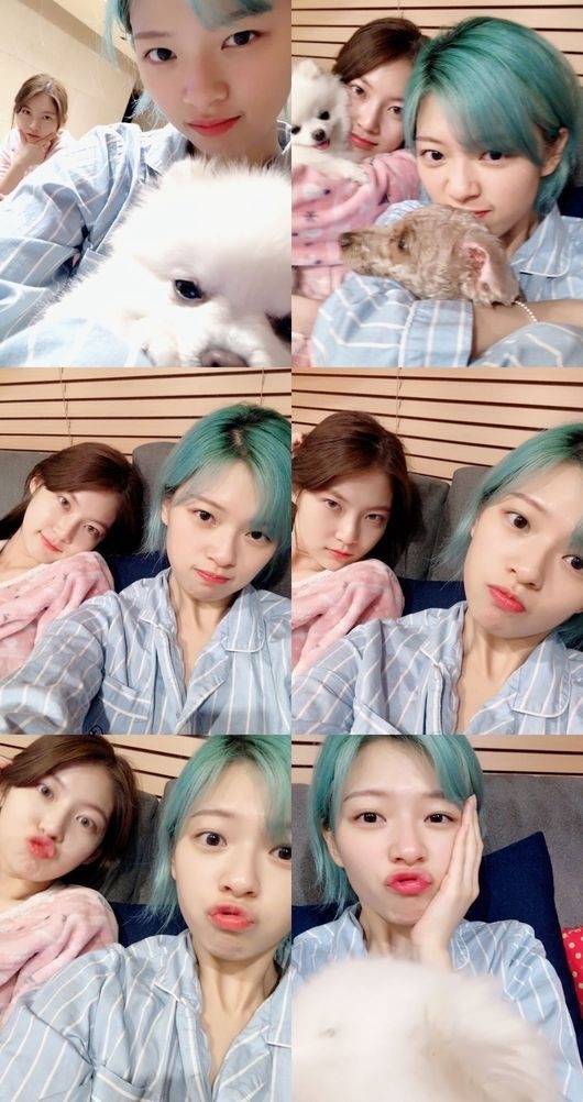 コン スンヨン Twice ジョンヨン姉妹 スッピン パジャマ姿でも輝く美貌 Kstyle