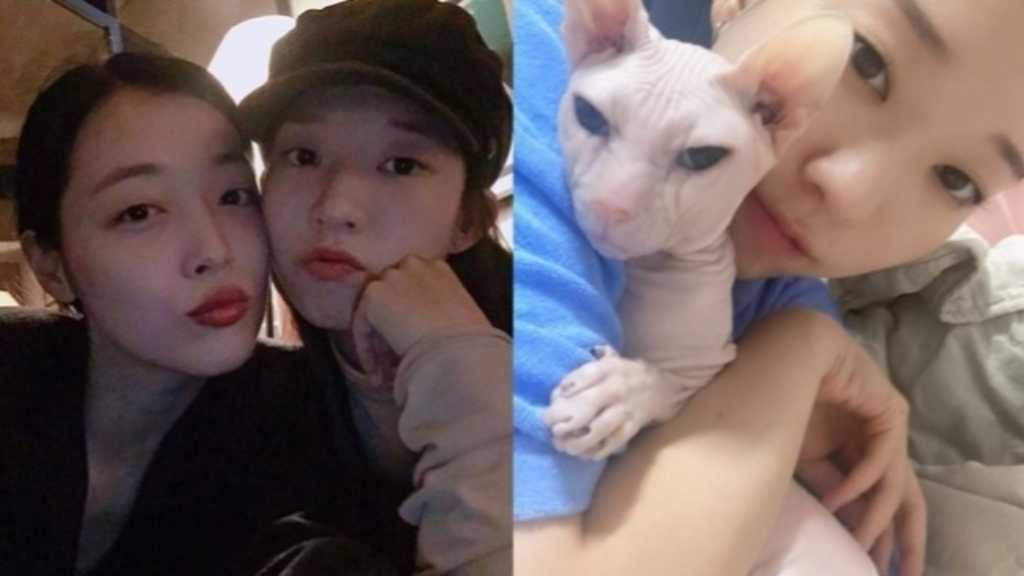 キム・ソナ、親友ソルリさんと彼女の愛猫への思い明かす「今では私の娘であり私の光」