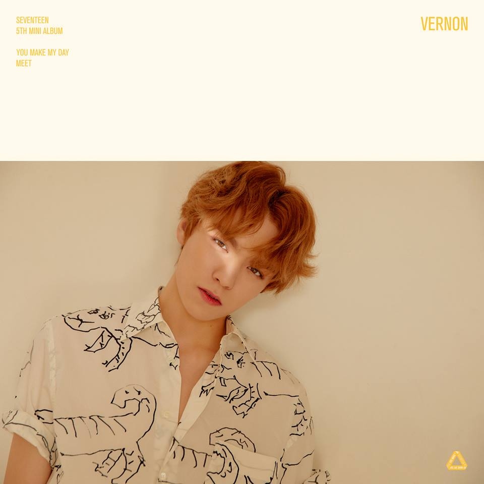 Seventeen バーノン 健康上の問題で活動を一時中断 状態が好転するまで休息を取る Kstyle