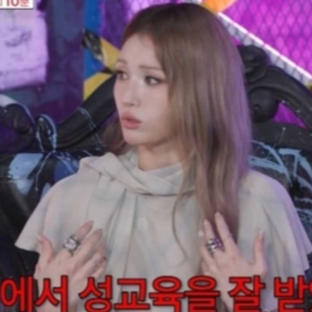 チョン・ソミ、JYP練習生時代の驚きのエピソード明らかに「性教育も受けた」