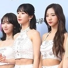 【PHOTO】宇宙少女＆Apink ユン・ボミ＆EXID ソルジら「2019 MGMA」レッドカーペットに登場