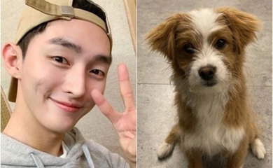 Wanna One出身ユン ジソン インスタで新しい家族を紹介 保護犬の里親に 1年以上悩んだ Kstyle