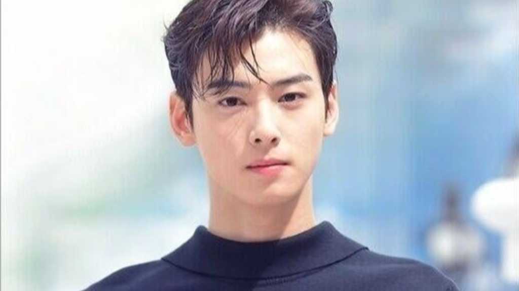 チャウヌ、約2年務めた広告モデル契約が終了「期間満了に伴う手続き」