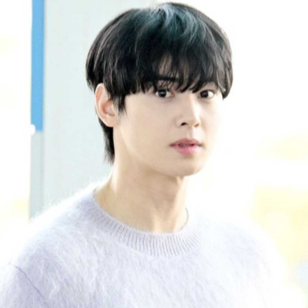 ASTRO チャウヌの母親が設立…江華郡庁が法人調査に着手