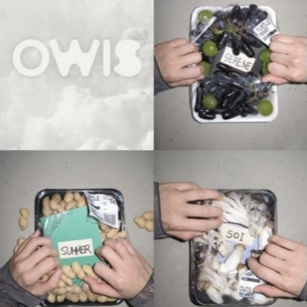 バーチャルグループOWIS、5人組でのデビューを正式発表!