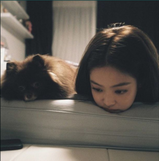 Blackpink ジェニー 破局後初のインスタに注目 愛犬との2ショットを公開 Kstyle