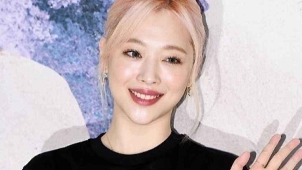 ソルリさんの実兄、BTSカムバック公演に対する不満を吐露？HYBEの株価急落にも意味深な反応