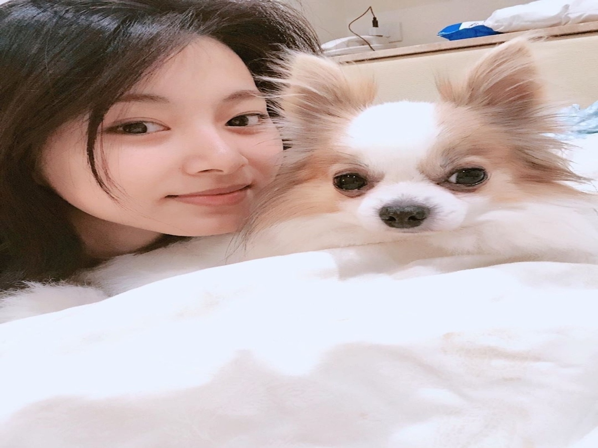 Twice ツウィ 愛犬グッチの死をsnsで報告 いい思い出を残してくれてありがとう 元気でね Kstyle