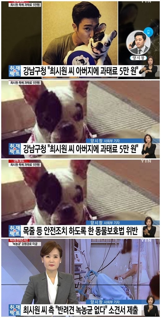 Super Junior シウォン側 緑膿菌の検査報告書を提出 犬の管理不行き届きで父親に罰金処分 Kstyle