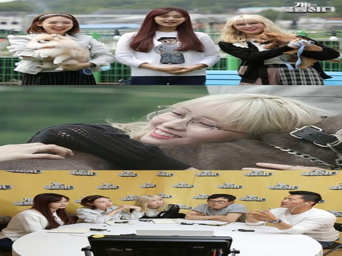 Twice モモ 憧れの犬種登場に大喜び 大胆ハグで愛情をアピール Kstyle