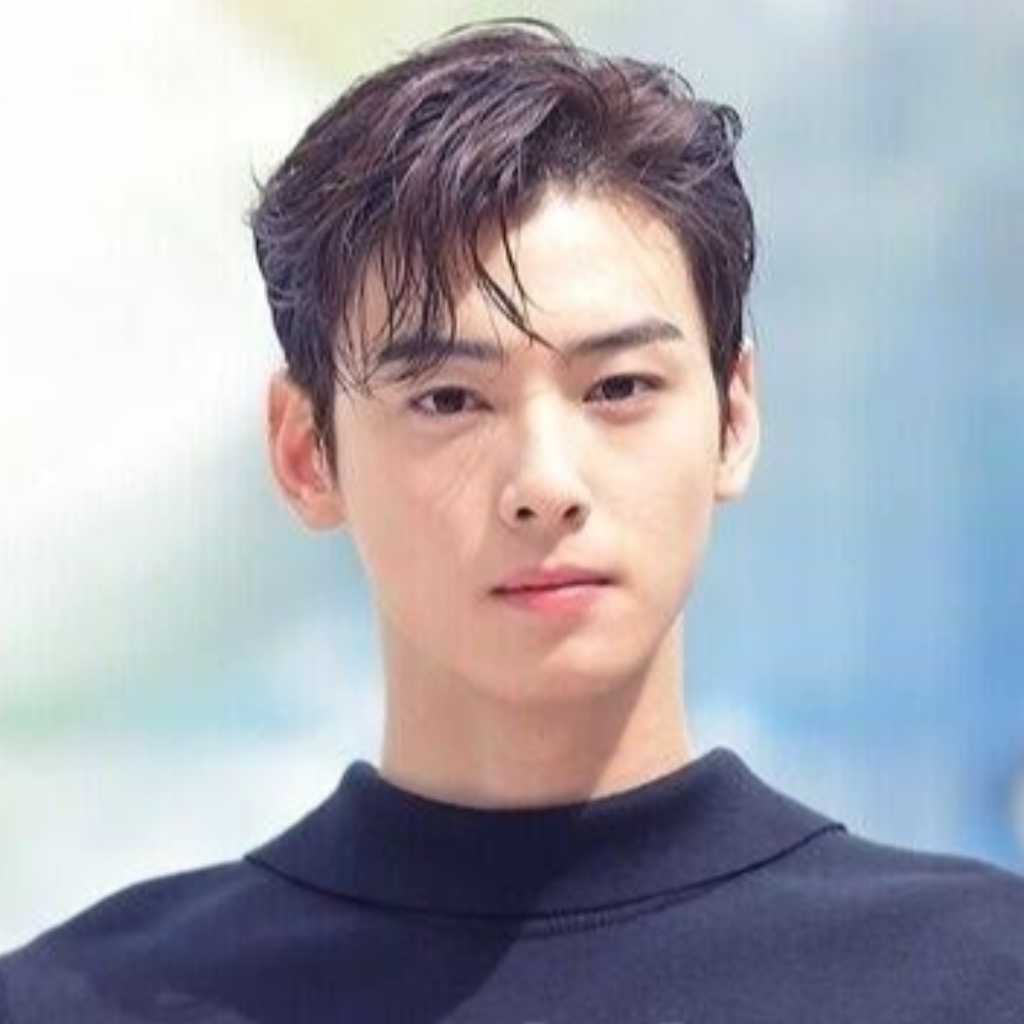 チャウヌ、約2年務めた広告モデル契約が終了「期間満了に伴う手続き」