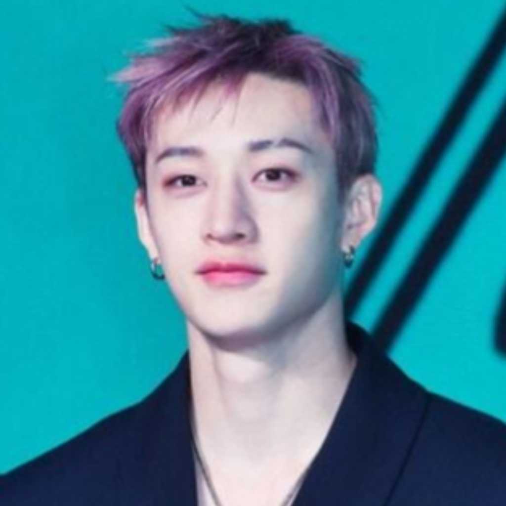 Stray Kids バンチャン、メンバーのスーツケースを蹴ったサセンファンに怒り「恥ずかしくないの？」
