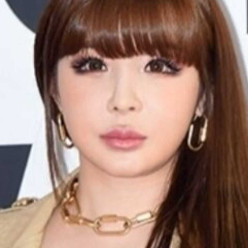2NE1のBOM、3月いっぱい活動休止？関係者が疑惑にも言及