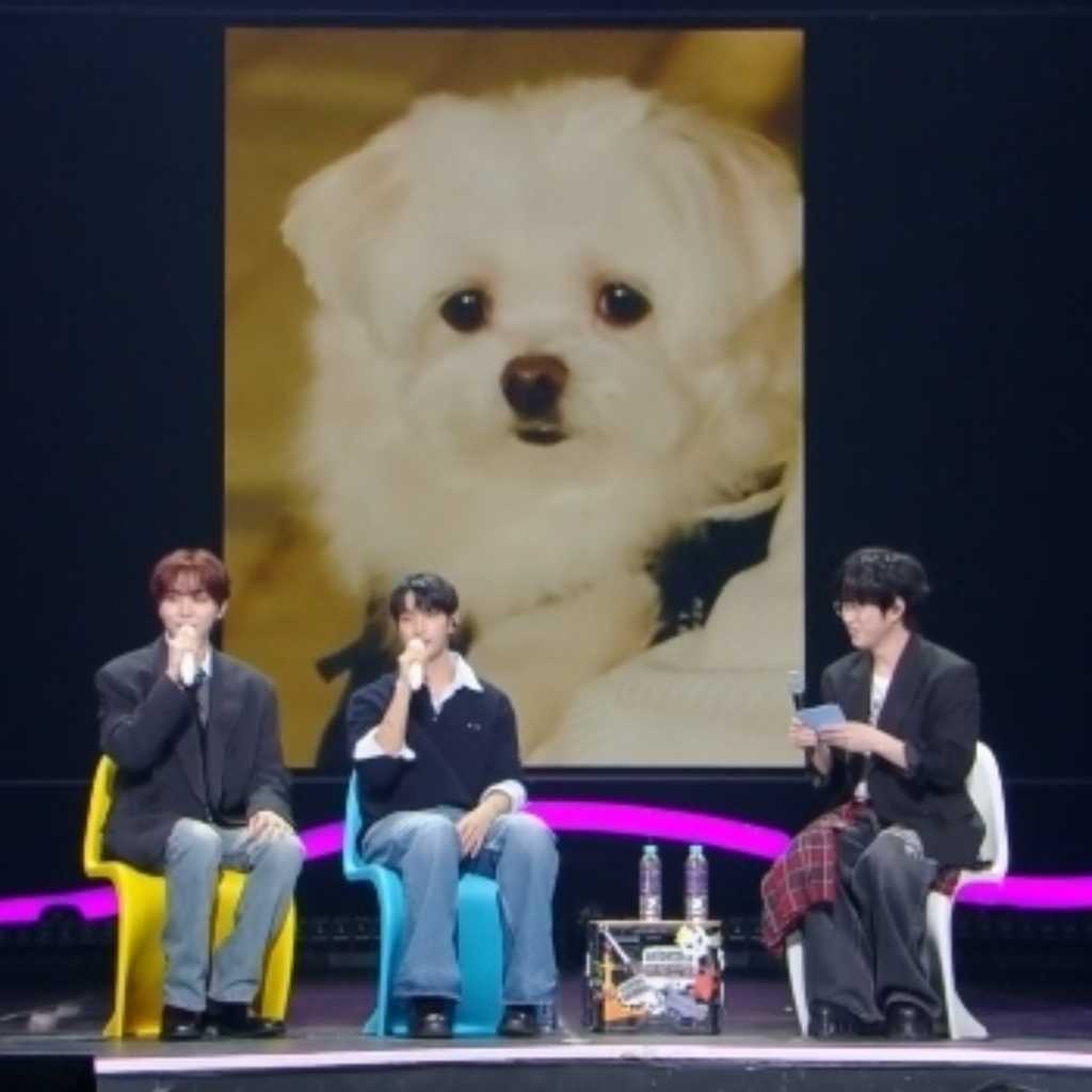 SEVENTEEN スングァン、愛犬プクを自慢！「おかげで仕事も増えた」（動画あり）