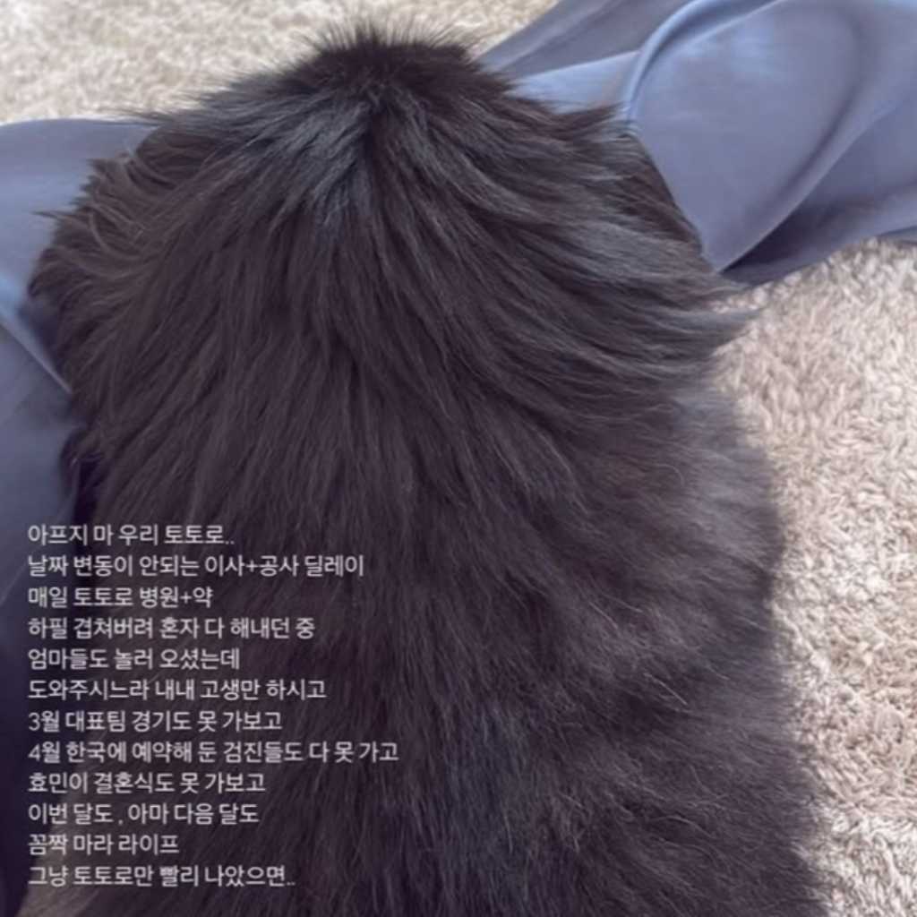元T-ARA ソヨン、ヒョミンの結婚式に不参加？SNSで理由を明かす