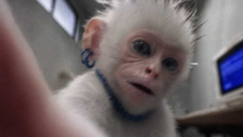 DAILY:DIRECTION、2ndシングル「MONKEY MODE」を7月13日にリリース！予告コンテンツが続々公開