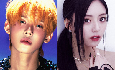 メンテ済み 虎杢 GEWA バイオリン ハイスペックモデル 4/4 裏板虎杢1枚