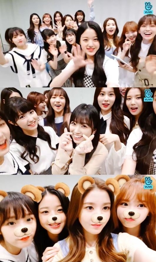 IZ*ONE、サプライズ生配信で挨拶…勉強中の日本語＆韓国語をそれぞれ披露（動画あり） - Kstyle