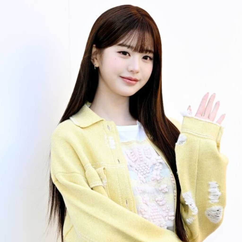 “IVE ウォニョンらを誹謗中傷”炎上系YouTuber、最高裁が上告棄却…懲役2年・執行猶予3年の判決確定