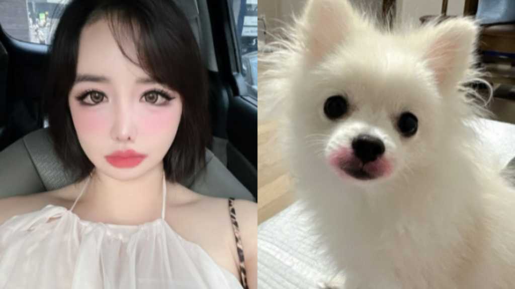 2NE1のBOM、愛犬にリップを塗った写真を投稿…動物虐待の議論うけ削除