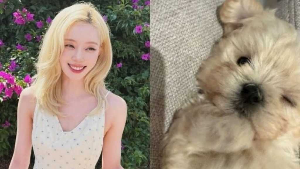 aespaのWINTER、愛犬をペットショップで購入？疑惑を自ら釈明「保護施設から連れてきた」