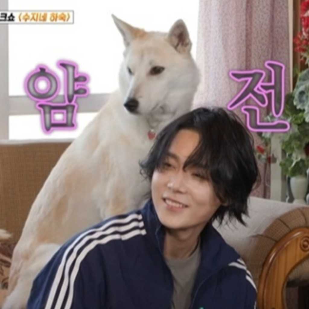 DAWN、咳をしすぎて肋骨にヒビ「2ヶ月間止まらなかった」