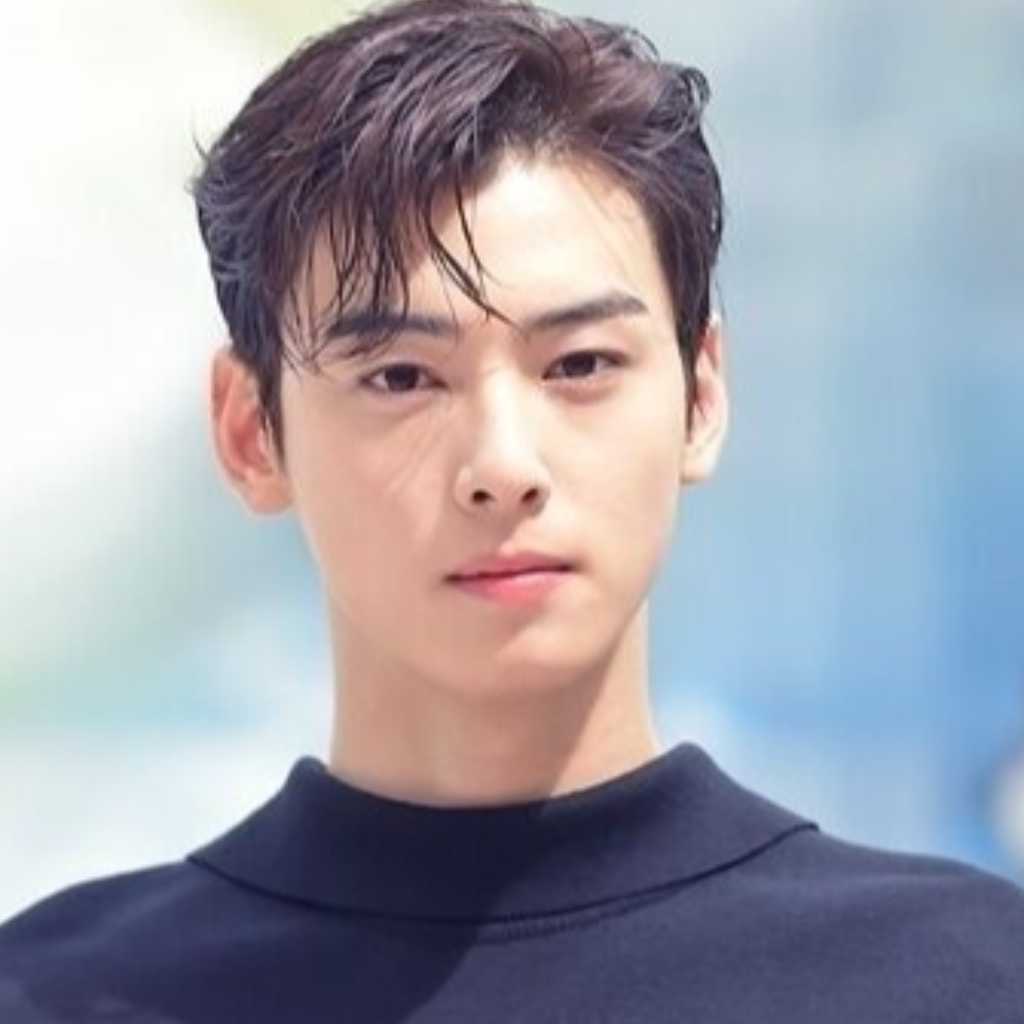 ASTRO チャウヌ、軍楽隊のイベントに登場…税金問題めぐる騒動後初の公の場